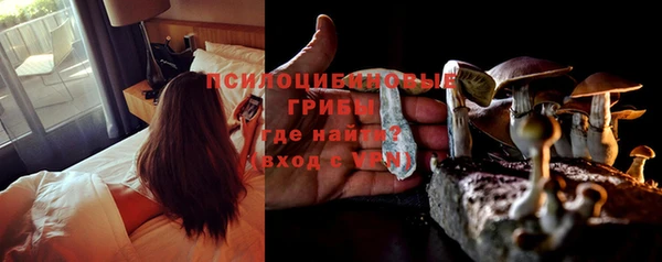 a pvp Медвежьегорск