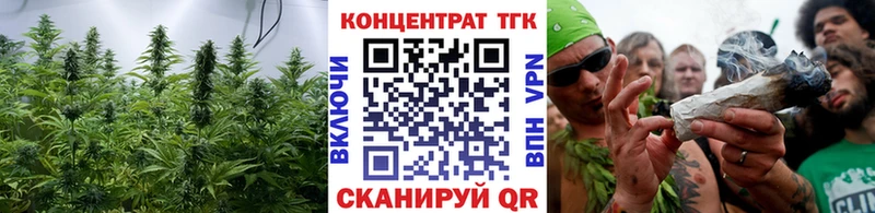 дарнет шоп  Котово  ТГК THC oil 